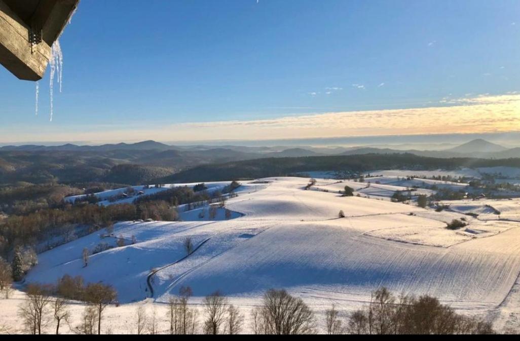 Ferienwohnung Weisses Ross Pirna Exteriör bild